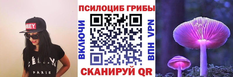 цена   Белоусово  Галлюциногенные грибы Psilocybe 